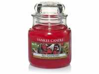Yankee Candle - Duftkerze Raspberry Tee Kerzen Fruit Duft