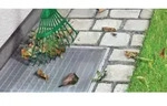 Tesa - Insect Stop Lichtschachtgitter 1 St.