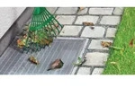 Tesa - Insect Stop Lichtschachtgitter 1 St.