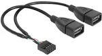Delock Usb-kabel Usb 2.0 Pfostenstecker 8pol., Usb-a Buchse 0.20 M Schwarz
