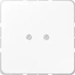 Jung Blind-abdeckung Aws Kompl.mit Tragring Cd 561 B Ww