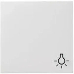 Gira Tasterwippe M.licht-symbol (028503rws Gl.syst.55)