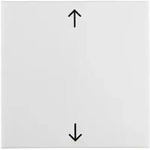 Berker Wippe Mit Aufdr Symbol Pfeile S.1 Pw 16208919