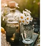 Versailles Glas 240 Ml