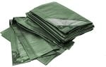 Fp - Format Rainexo-abdeckplane Gr&uuml;n, 90g/qm, 8x12m