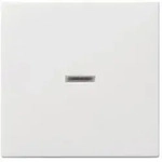 Gira - Abdeckung Kontrollschalter System 55, Standard 55, E2, Event, Event Klar,