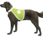 Nobby Sicherheitsweste F&uuml;r Hunde Neon Hundewarnweste