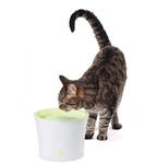 Hagen Cat It Trinkbrunnen Wei&szlig; Und Gr&uuml;n 3l