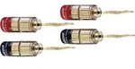 3022 Lautsprecher-steckverbinder Stecker, Gerade Rot, Schwarz 4 St. - Oehlbach