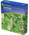 Kiepenkerl Gr&uuml;nd&uuml;nger H&uuml;lsenfrucht- Ca. 50 Qm Keine Angabe