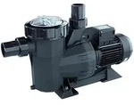 Pumpe Victoria Plus 1 Cv - 16000 L/h Monophasisch