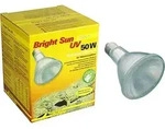 Bright Sun Uv Desert - 50w - Lucky Reptile