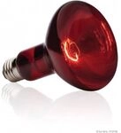 Lampe Exo Terra Basking Spot Infrarot 75 W