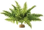 Terrarium Exo-terra Boston Fern Sauerstofffunktion Leicht Zu Reinigen