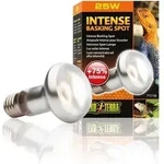 Heizlampe Exo Terra 25w Glas 6.5x6.5x10 Cm