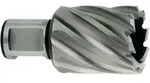 Metabo - Hss-kernbohrer 31x30 Mm, Weldonschaft 19 Mm (3/4') (626519000)