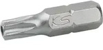 1/4' Bit Torx, Bohrung, 25mm, Tb40, 5er Pack