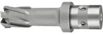 Hm-ultra-kernbohrer Mit Quick-in'-aufnahme, D17/36' - Fein