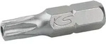 1/4' Bit Torx, Bohrung, 25mm, Tb30