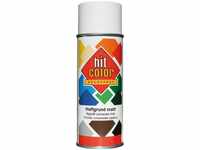 belton Hitcolor Haftgrund-Spray 400 ml weiß Grundierung Spray