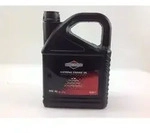 Briggs&stratton - L Sae30 - 5,0l 4-takt-motor Briggs And Stratton 100009e