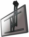Newstar Deckenhalterung F&uuml;r Flachbildschirme Plasma-c100black