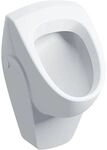 Renova Urinal Zulauf Von Hinten, Abgang Nach Hinten, Tiefe 37cm, Zulauf Hinten,
