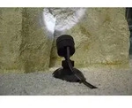 Pontec Pondostar Spotset Led 6 Set