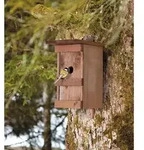 Windhager - Vogelnest Aus Massivem, Lackiertem Holz