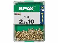 Spax - Universalschrauben 2.5 x 10 mm pz 1 - 100 Stk. Holzschrauben