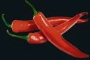 Glasr&uuml;ckwand Hot Peperoni 60 X 70 Cm, Mehrfarbig, Geh&auml;rtetes Glas Mehrfarbig -