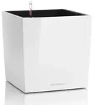 Lechuza Cube Premium 30 Komplettset Scarlet Rot Hochglanz