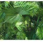 A.s.creations - A.s. Creation Neue Bude 2.0 362001 Vliestapete Naturoptik 0.53 M X