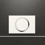Bet&auml;tigungsplatte Zero F&uuml;r 2-mengen-sp&uuml;lung Typ A31 / B 31 / E31 421850 - Mepa