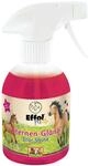 Langanhaltendes Glitzerspray F&uuml;r Pferde 300 Ml