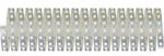 Paulmann Maxled 70565 Led-streifen Mit Stecker 24 V 10 M Warmwei&szlig;, Neutralwei&szlig;,