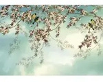 Komar Fototapete Sakura 368 X 254cm Papiertapete Wandbild Tapete Bl&uuml;ten