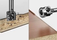 B&uuml;ndigfr&auml;ser-wendeplatten S8 Hw D19 12x12 Kl Ofk &ndash; 499806 - Festool