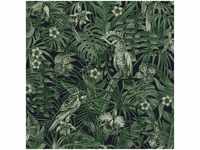 Dschungel Tapete mit Vögeln | Palmen Tapete mit Papagei in Dunkelgrün |...