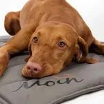 Trixie Be Nordic Hunde Reisedecke Hooge Grau