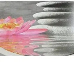 Wc-sitz Water Lily Mit Relief, Thermoplast, Mehrfarbig, Thermoplast Mehrfarbig,