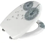 Wenko Premium Wc-sitz Astera, Aus Antibakteriellem Duroplast, Mit Absenkautomatik,