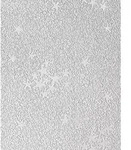 Edem - Kindertapete Sternentapete 533-30 Decken Wand Tapete Weiss Leuchtende Sterne