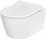 Rp Wc-sitz, Abnehmbar, Mit Absenkautomatik, - Toto