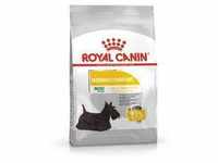 ROYAL CANIN Mini Dermacomfort - Trockenfutter für ausgewachsene Hunde kleiner Rassen