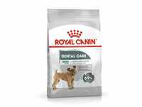ROYAL CANIN CCN Mini Dental Care - Trockenfutter für erwachsene Hunde - 3kg