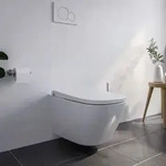 Dusch-wc Pro+ 1104 Wei&szlig; Sp&uuml;lrandlos Eckig Komplettanlage - Bernstein