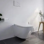 Dusch-wc Basic 1104 Komplettanlage Ges&auml;&szlig;- Und Ladydusche Softclose Nachtlicht