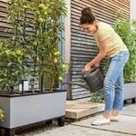 Trio Stone 30 Komplettset Steingrau - Lechuza