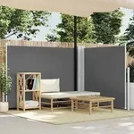 Ausziehbare Seitenmarkise Anthrazit 140 X 600 Cm Vidaxl 81954